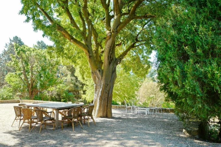 Photos 9 - Rurale - Maison de maître