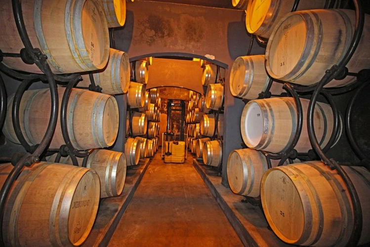 Photos 3 - Viticole - Propriété viticole