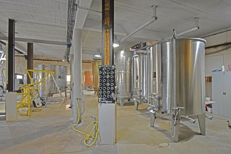 Photos 4 - Viticole - Propriété viticole