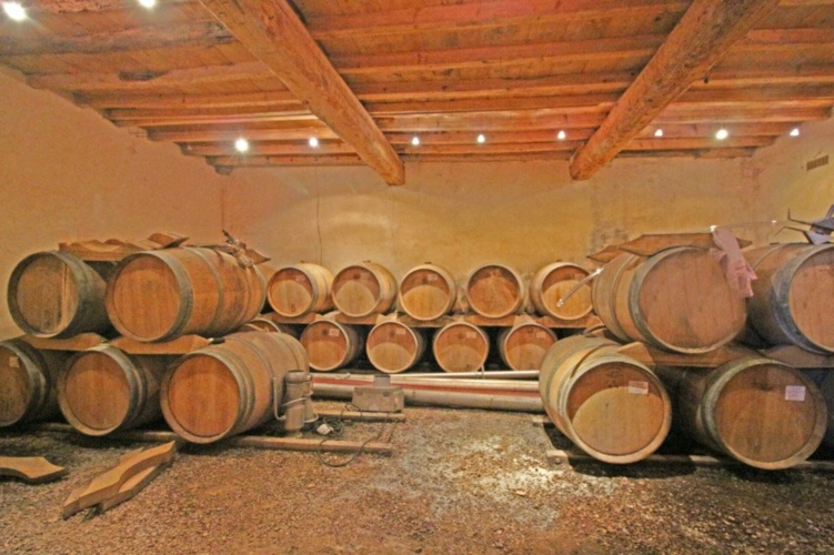 Photos 2 - Viticole - Propriété viticole