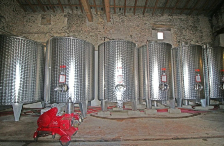 Photos 3 - Viticole - Propriété viticole