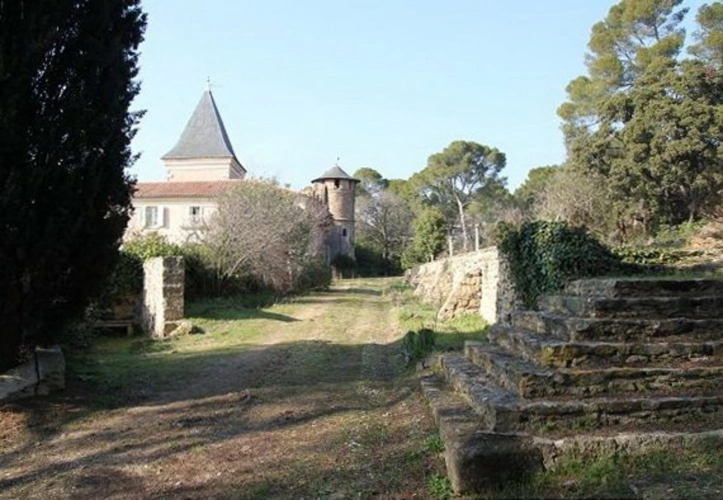 Photos 4 - Forestière - Domaine