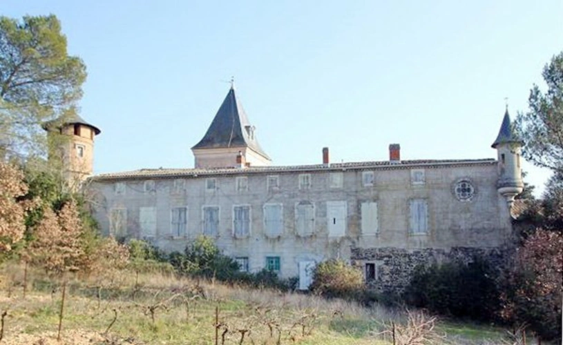 Photos 5 - Forestière - Domaine