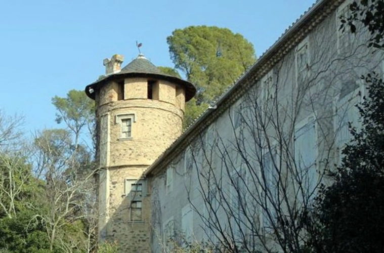 Photos 6 - Forestière - Domaine