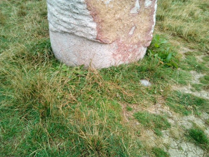 Photos 9 - Agricole - DOMAINE DU XVIÈME SIÈCLE