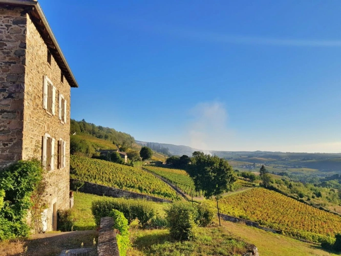 Photos 1 - Prestige - PROPRIÉTÉ AU COEUR DU BEAUJOLAIS AVEC DEUX MAISONS D'HABITAT
