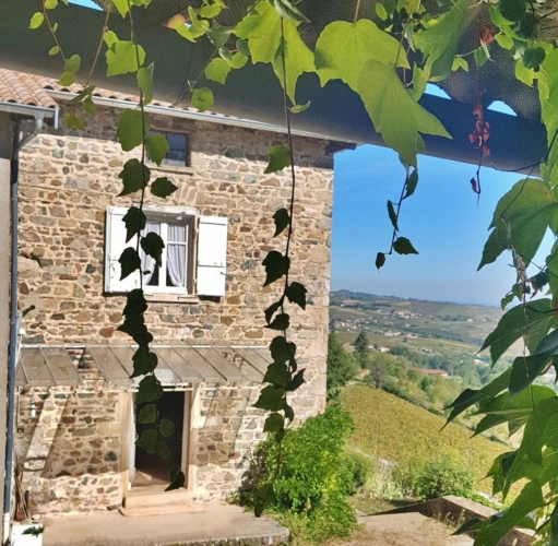 Photos 3 - Prestige - PROPRIÉTÉ AU COEUR DU BEAUJOLAIS AVEC DEUX MAISONS D'HABITAT
