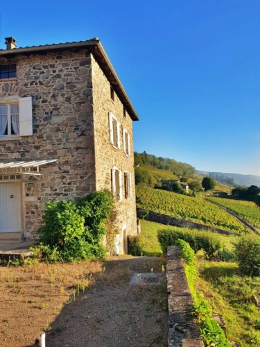 Photos 5 - Prestige - PROPRIÉTÉ AU COEUR DU BEAUJOLAIS AVEC DEUX MAISONS D'HABITAT