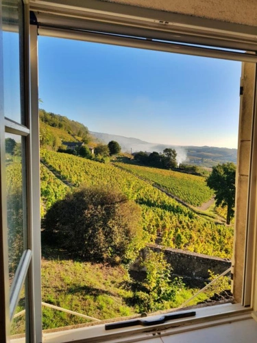 Photos 6 - Prestige - PROPRIÉTÉ AU COEUR DU BEAUJOLAIS AVEC DEUX MAISONS D'HABITAT