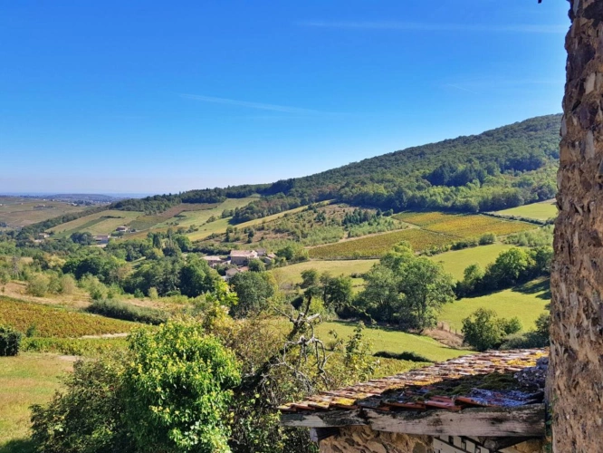 Photos 8 - Prestige - PROPRIÉTÉ AU COEUR DU BEAUJOLAIS AVEC DEUX MAISONS D'HABITAT
