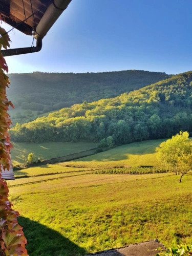 Photos 9 - Prestige - PROPRIÉTÉ AU COEUR DU BEAUJOLAIS AVEC DEUX MAISONS D'HABITAT