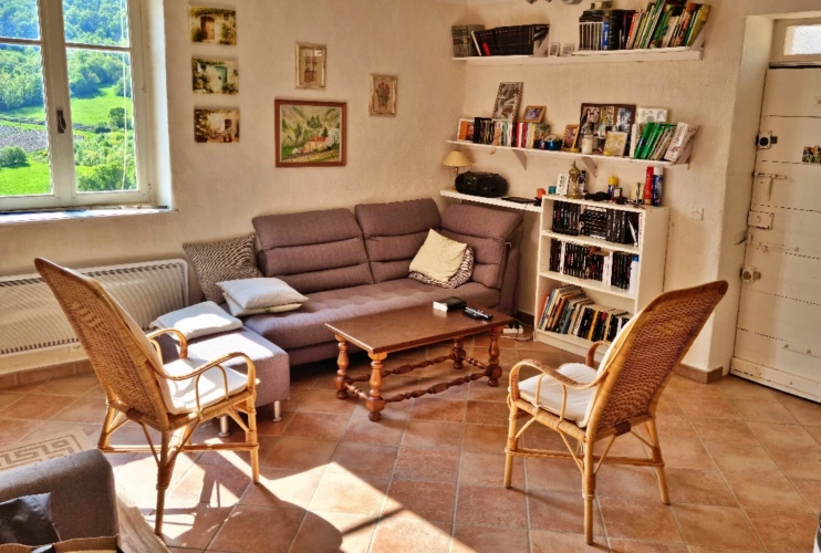 Photos 14 - Prestige - PROPRIÉTÉ AU COEUR DU BEAUJOLAIS AVEC DEUX MAISONS D'HABITAT