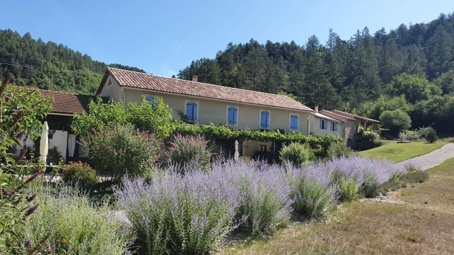 Photos 2 - Prestige - PROPRIETE DE CHARME - 5 GITES - HABITATION - 2 HECTARES - DI