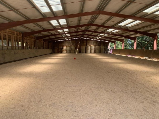 Photos 14 - Prestige - Domaine équestre avec gîtes - chambres d'hôtes - 10 hectare