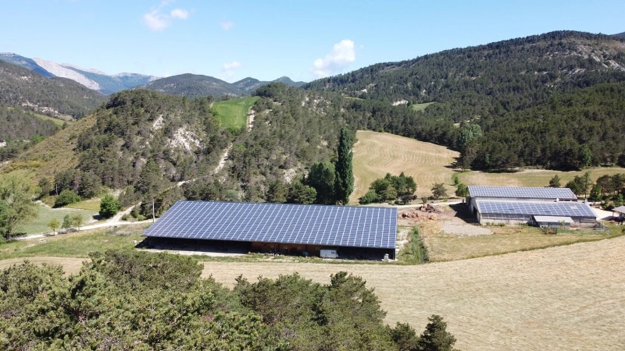 Photos 1 - Rurale - Belle exploitation agricole caprine - 3560 m2 de bâtiments -