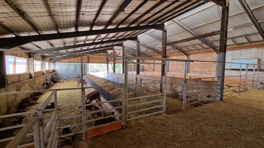 Photos 3 - Rurale - Belle exploitation agricole caprine - 3560 m2 de bâtiments -