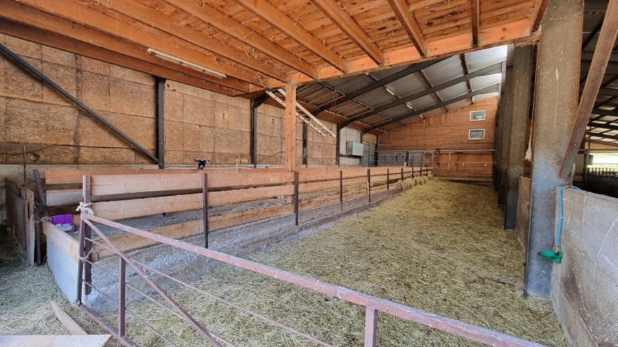 Photos 4 - Rurale - Belle exploitation agricole caprine - 3560 m2 de bâtiments -