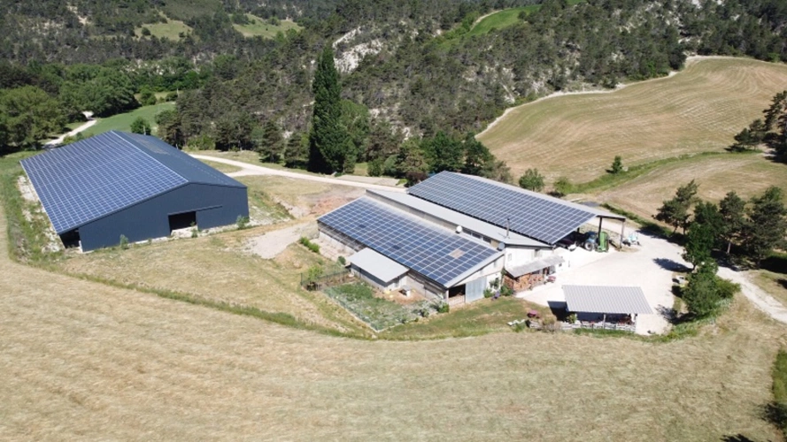 Photos 13 - Rurale - Belle exploitation agricole caprine - 3560 m2 de bâtiments -