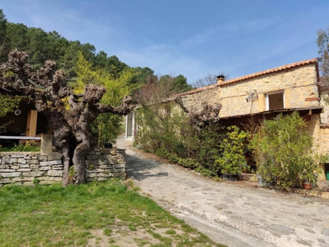 Photos 2 - Prestige - À vendre pour grande famille à Saint-Paul-Le-Jeune : maison