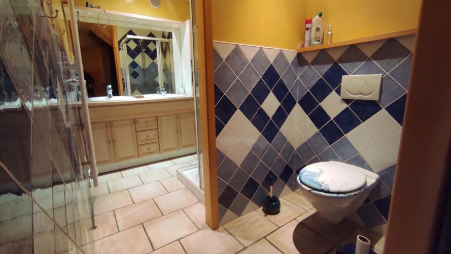 Photos 8 - Prestige - À vendre pour grande famille à Saint-Paul-Le-Jeune : maison