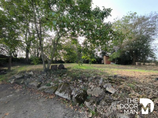 Photos 2 - Prestige - Propriété 53470