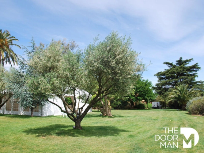 Photos 8 - Prestige - Château 83250