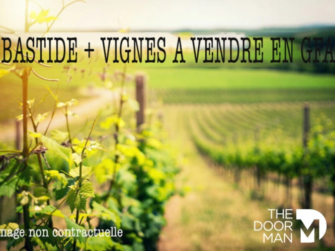 Photos 11 - Prestige - Château 83250