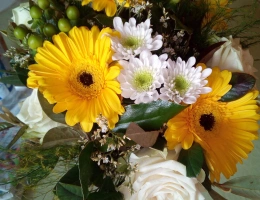 Vignette - Agricole - DOMAINE DU XVIÈME SIÈCLE