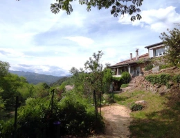 Vignette - Prestige - Sud Ardèche, belle maison en pierre, rénovée, 4 chambres, pi