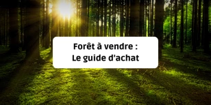Terrain forestier : acheter et construire, comment s'y prendre ?