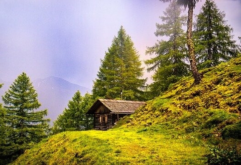 Construction d'un foret d'alpage dans une forêt - Image de liggraphy sur Pixabay